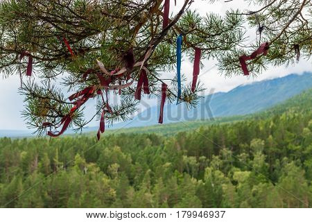 Zalaa - Tapes, Tied To The Trees.