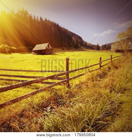 Vintage Carpathian Valley