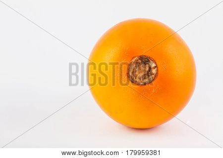 Lulo ( Solanum quitoense ) on white background