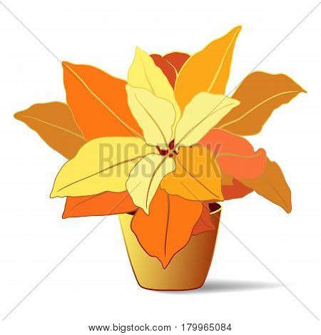 Codiaeum house tropical plant isolated line art vector