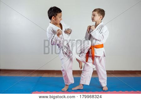 Two boys demonstrate martial arts working together. Fighting position active lifestyle practicing fighting techniques
