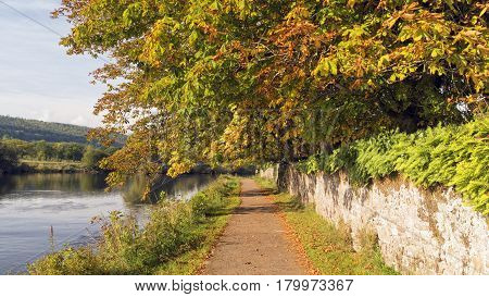 Picture of River Suir in autumn colors in County TipperaryIreland