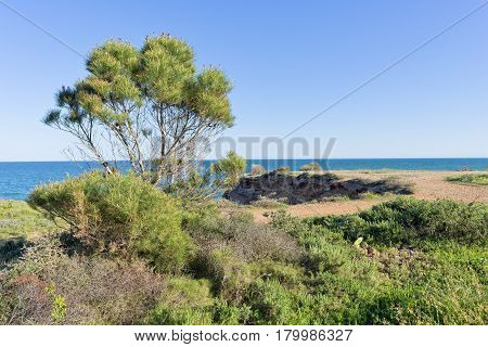 The Coast Of Vinaroz In Castellon, Spain