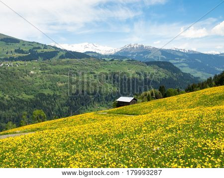 Valley View Surselva