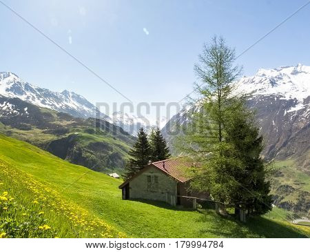 Andermatt, Pastures And Mountains