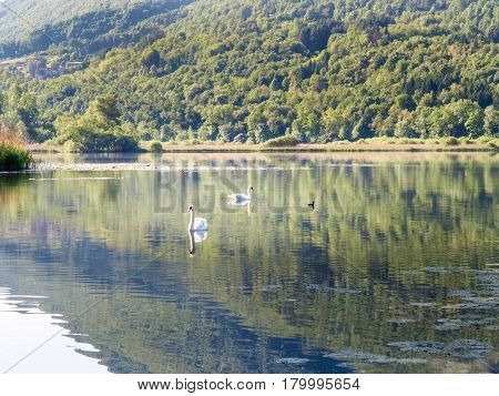 Lake Piano In The Val Menaggio