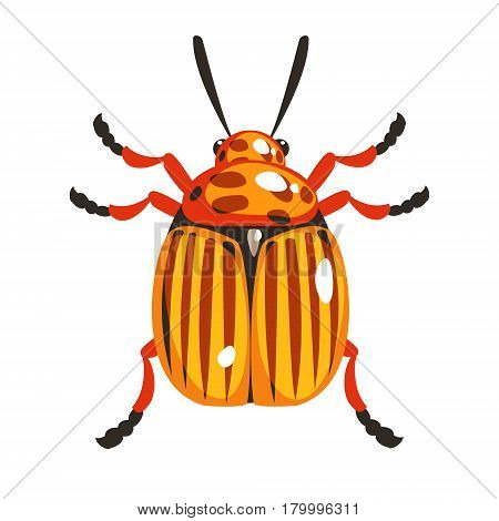 Colorado potato beetle colorful cartoon character isolated on a white background
