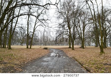 Parco nella città di Stolin