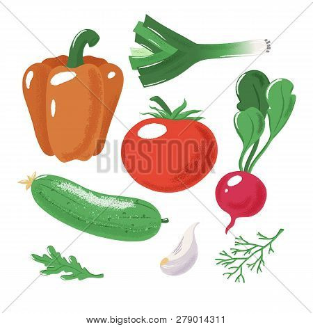 Set Of Vegetables - Tomato, Bell Pepper, Radish, Bulb And Leek Onion, Cucumber, Garlic And Ruccola, 