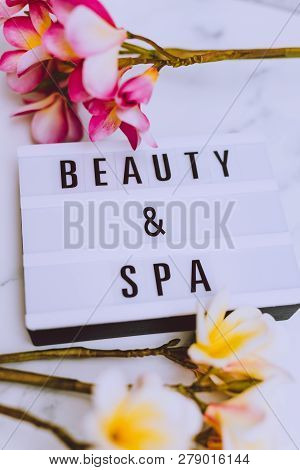 Beauty And Spe Lightbox With Frangipani