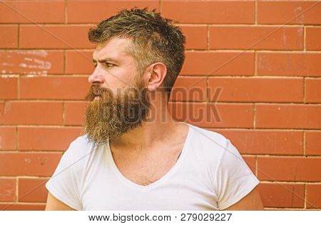 Stylish Bearded Hipster. Beard Grooming Has Never Been So Easy. Beard Care Tricks Will Keep Your Fac