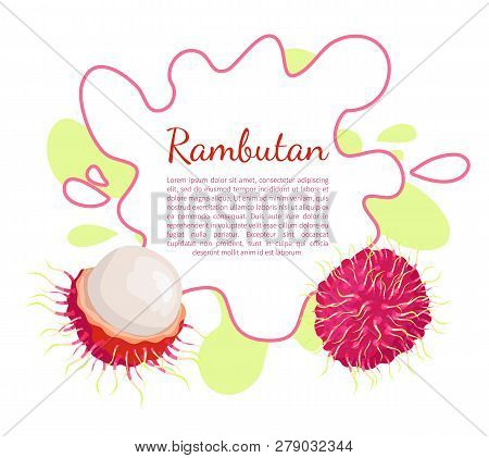 Rambutan Exotic Juicy Stone Fruit Vector Poster Frame And Text. Dieting Vegetarian Icon, Related To 