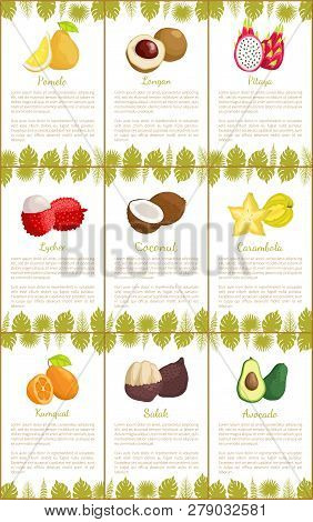 Pomelo And Longan Set Posters With Text Sample And Decorative Foliage Vector. Avocado And Exotic Lyc