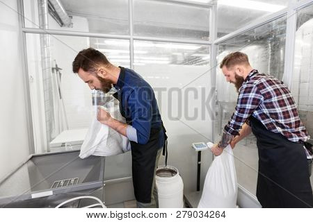 manufacture, business and people concept - men with bags weighing and pouring malt to mill at craft brewery or beer plant