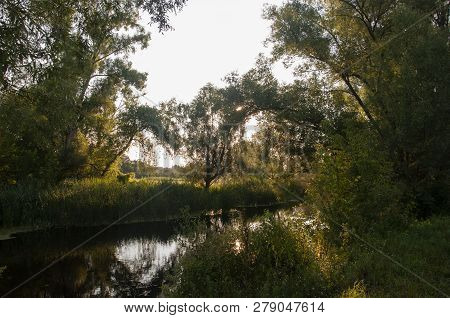 Small River Slow Flowing Across The Green Forest With Reflections Of  Trees In The Water.  Summer