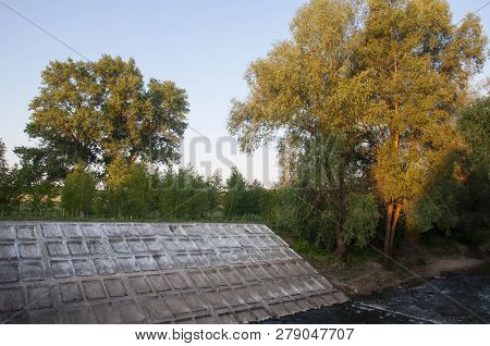 Small River Slow Flowing Across The Green Forest With Reflections Of  Trees In The Water.  Summer