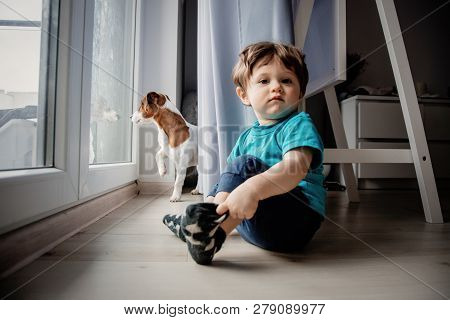 Little Toddler Boy Play At Home With His Jack Russell Terrier Dog.