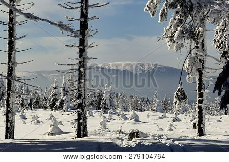 Winter View Of Kralicky Sneznik Mountain, The Highest Peak Of The Mountain Range Of The Same Name In