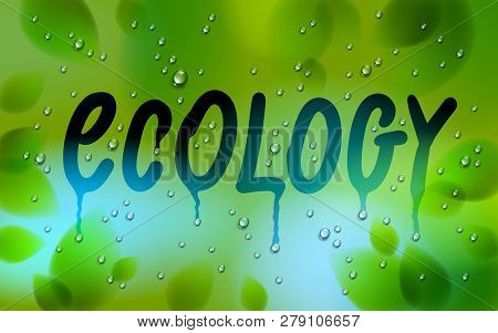 Ecology Word Drawn On A Window, Fresh Green Leaves And Water Rain Drops Or Condensate Macro, Vector 