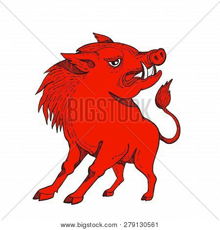 Doodle Art Illustration Of A Red Razorback, Wild Pig Boar Or Hog Looking To Side On Isolated Backgro