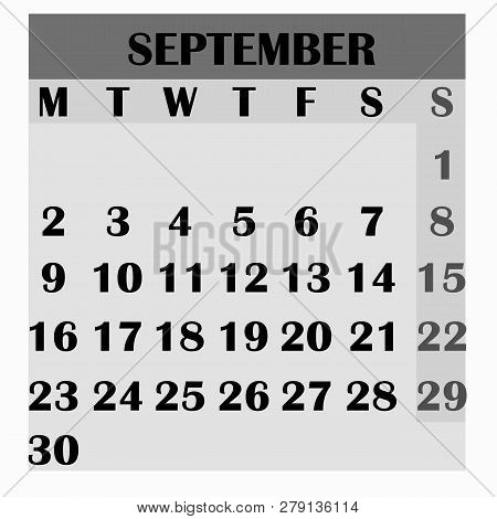 Calendar Design Month September 2019. Year 2019 Calendar. Simple Design For Calendar 2019. Calendar 