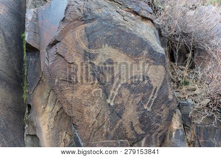 The Ancients Petroglyphs In Tamgaly Tash In Kazakhstan