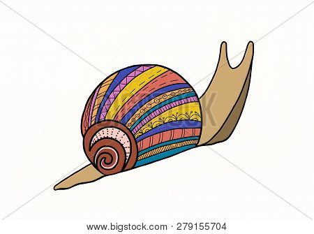 Snail With Colorful Shell On A White Background