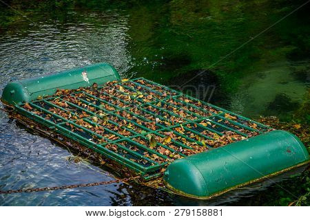 The Ironic Fishtrap In The Water Covered By Leaves
