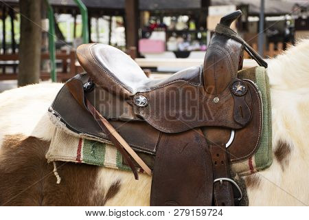 Saddle Leather On Back Of Dwarf Horse Standing Relax And Eat Food In Stable At Animal Farm In Sarabu