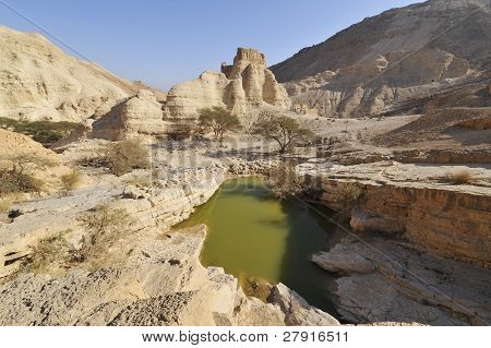 Zohar fortezza nel deserto.