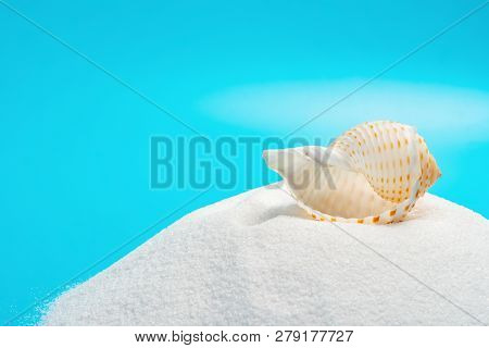 Conch Shell On White Sand On A Blue Background