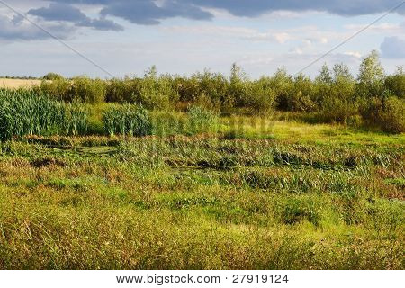 Paesaggio estivo vicino Stolin