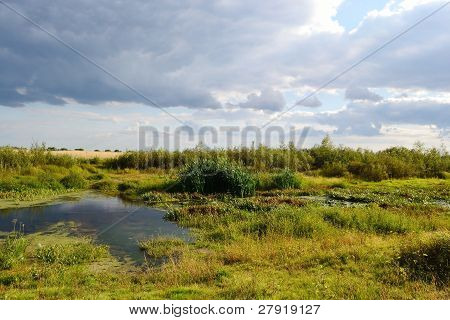 Paesaggio estivo vicino Stolin