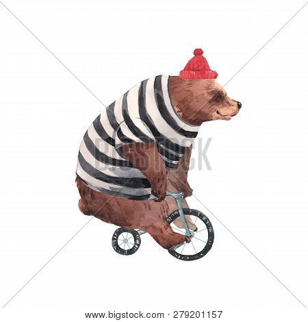 Beautiful Vector Watercolor Circus Bear On Bike Illustration