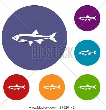 Herring Fish Icons Set In Flat Circle Reb, Blue And Green Color For Web