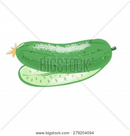 Cucumber Composition - Whole And Cut In Half, Textured Vector Illustration Isolated On White Backgro