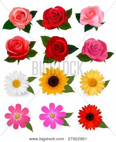 Stort sæt af smukke farverige blomster. Vektor illustration.