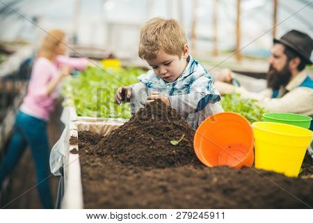 Soil Preparing. Small Boy Preparing Soil For Planting. Soil Preparing Concept. Soil Preparing Of You