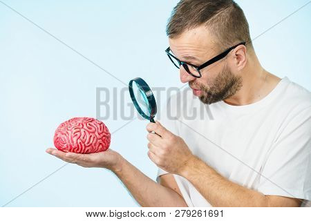 Man Looking At Human Brain