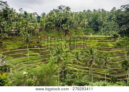 View Of Tanjung Benoa Beach In Bali, Indonesia
