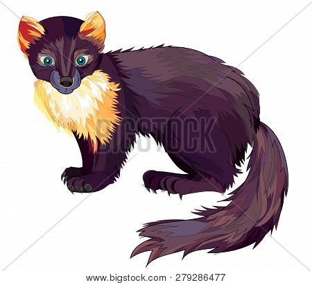 Fantasy Illustration Of Cute Marten On White Background. Hand-drawn Vector Image.