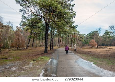 Unidentified Man And Woman Walking Across A Road Through A Forest In The Netherlands. The Photo Was 