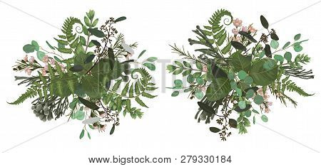 Vector Floral Bouquet Design Set, Green Forest Leaf, Brunia, Fern, Branches Boxwood, Buxus, Eucalypt