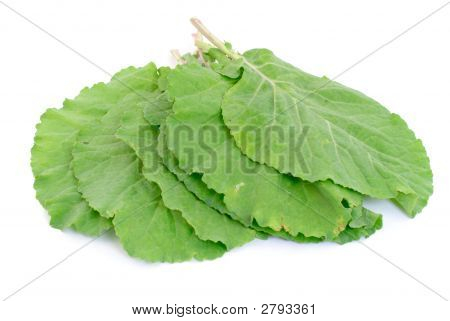 Collard yeşillik