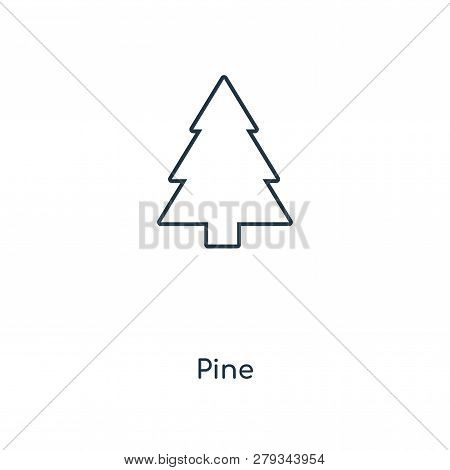 Pine Icon In Trendy Design Style. Pine Icon Isolated On White Background. Pine Vector Icon Simple An