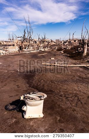 Dead Trees In The City Of Epecuen. Desolate Landscape Without People. Natural Disaster.