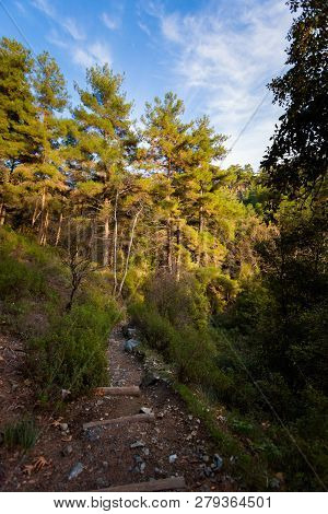 Hiking Trail Millomeris Waterfall Cyprus