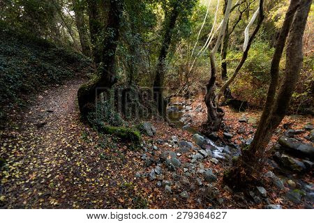 Hiking Trail Millomeris Waterfall Cyprus