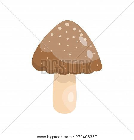 Beautiful Fresh Mushroom Of Unusual Shape. Colored Mushroom For Cooking Mushroom Soup And Other Dish