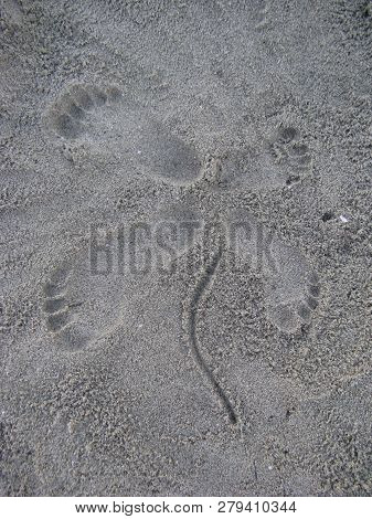Make Clover With Foot In Sand. Greece, Noi Poroi